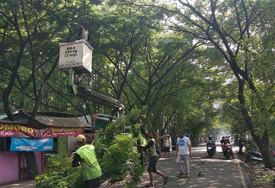 Petugas Bidang Pertamanan Disbudpar Kota Tangerang memotong ranting untuk meminimalisir pohon roboh saat musim penghujan, Rabu (21/10/2020)