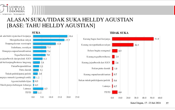 Infografis Survei LSI